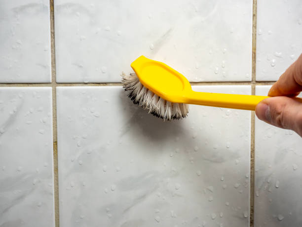 Best Mold Removal Near Me  in West Newton, PA