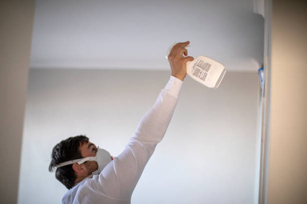 Best Attic Mold Removal  in West Newton, PA